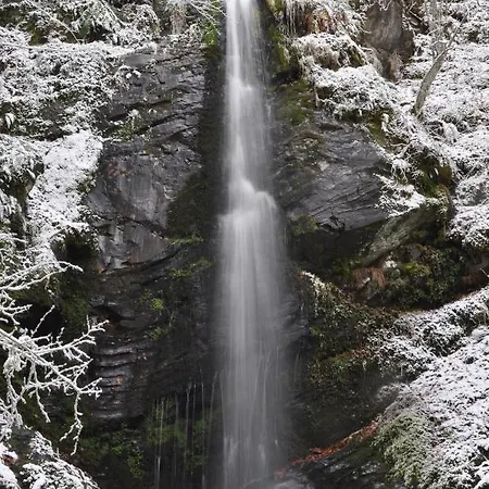 Holiday home La Genciana