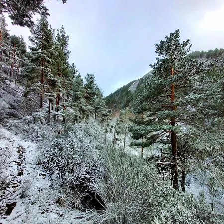 Holiday home La Genciana *