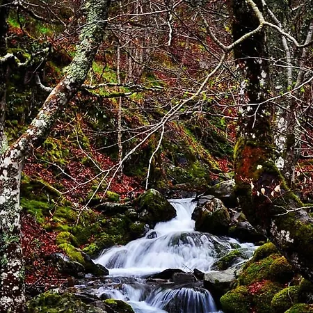 La Genciana Holiday home