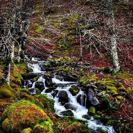 La Genciana Holiday home