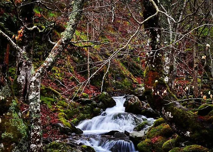 La Genciana Casa vacanze