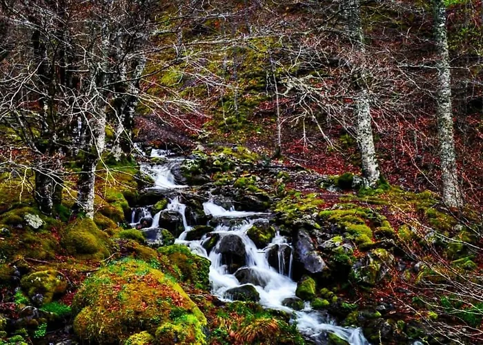 La Genciana Дом отдыха